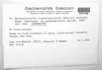 Image Associated With the Occurence
